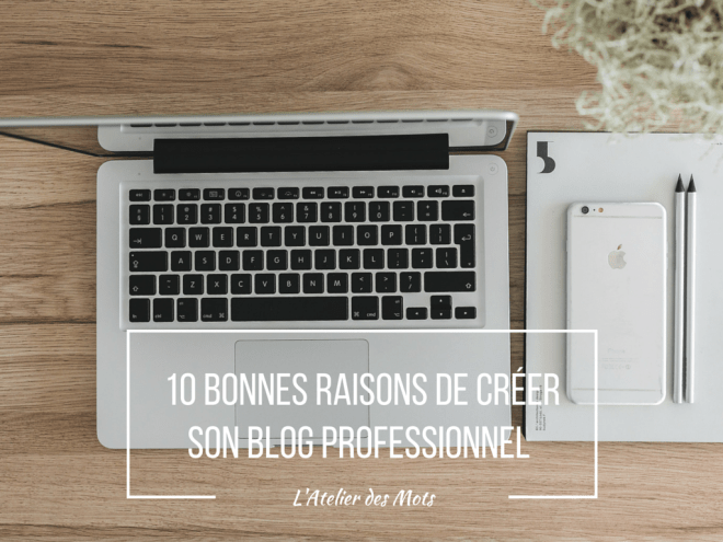BLOG PROFESSIONNEL